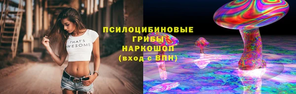 МДПВ Абдулино