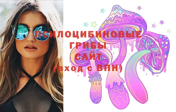хмурый Алексеевка